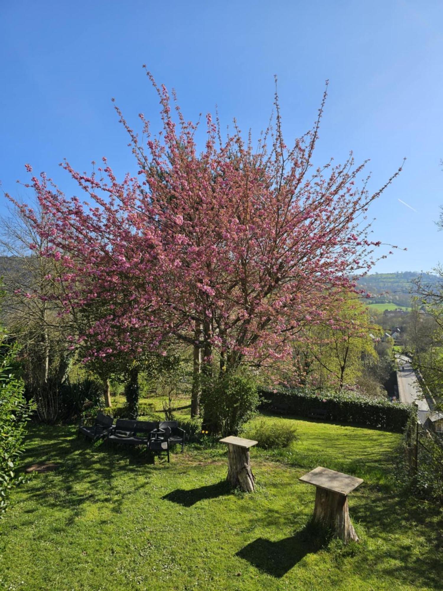 De La Petite Suisse Vakantiehuis
