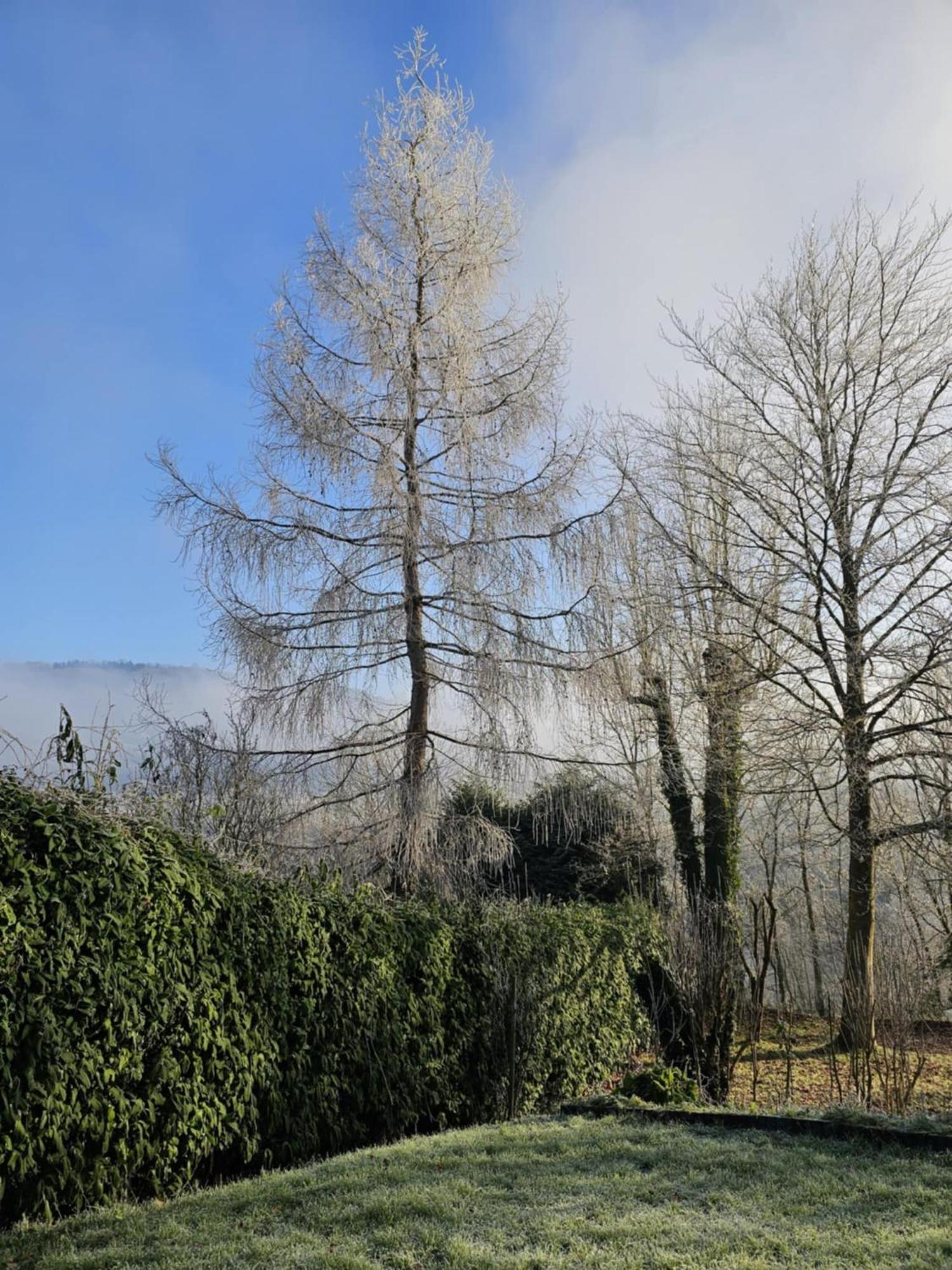 De La Petite Suisse
